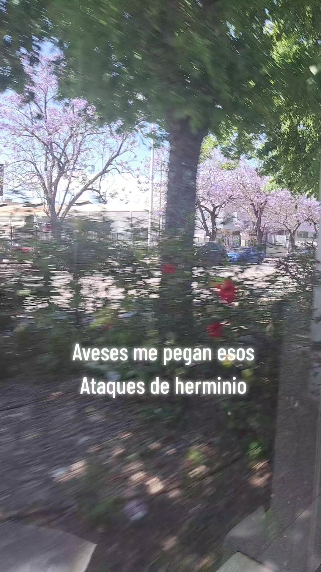 @Idalia Rosado 🐣
