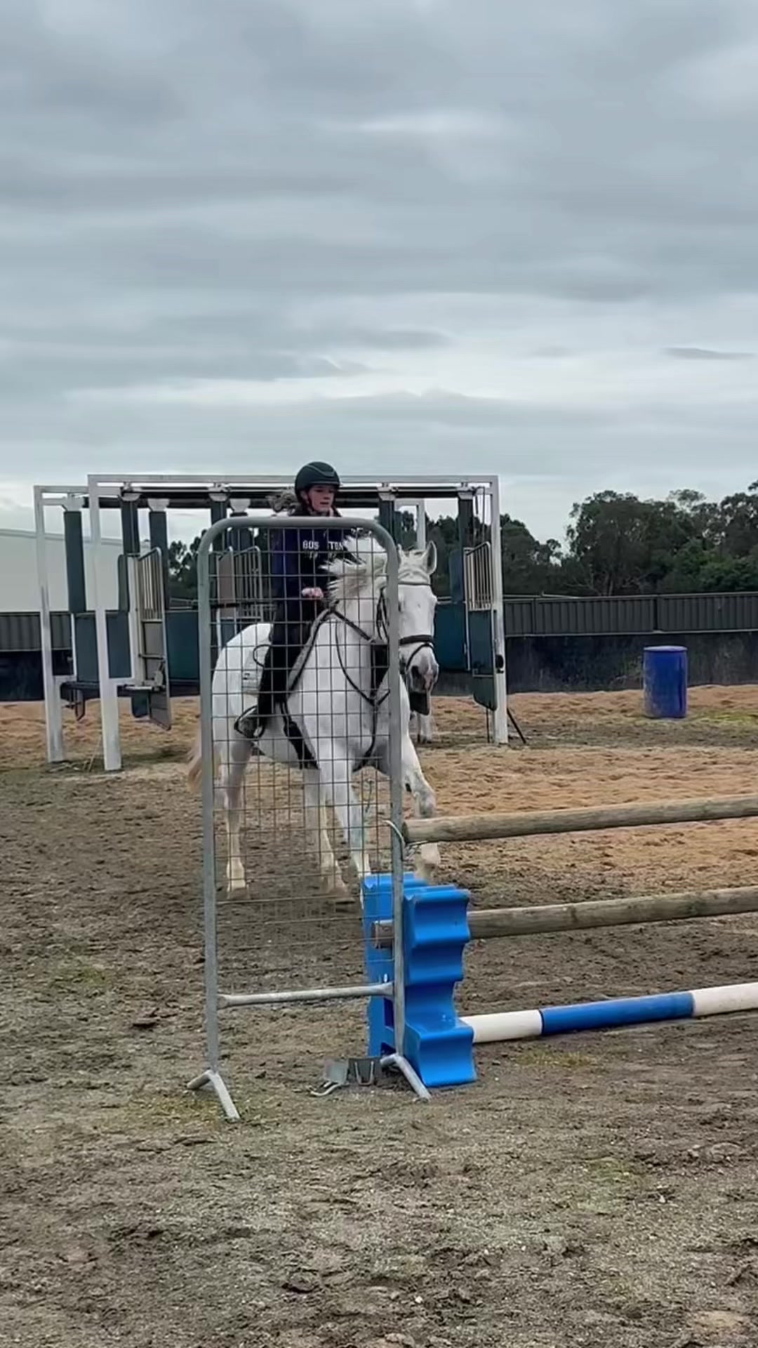 @Imi_.equestrian