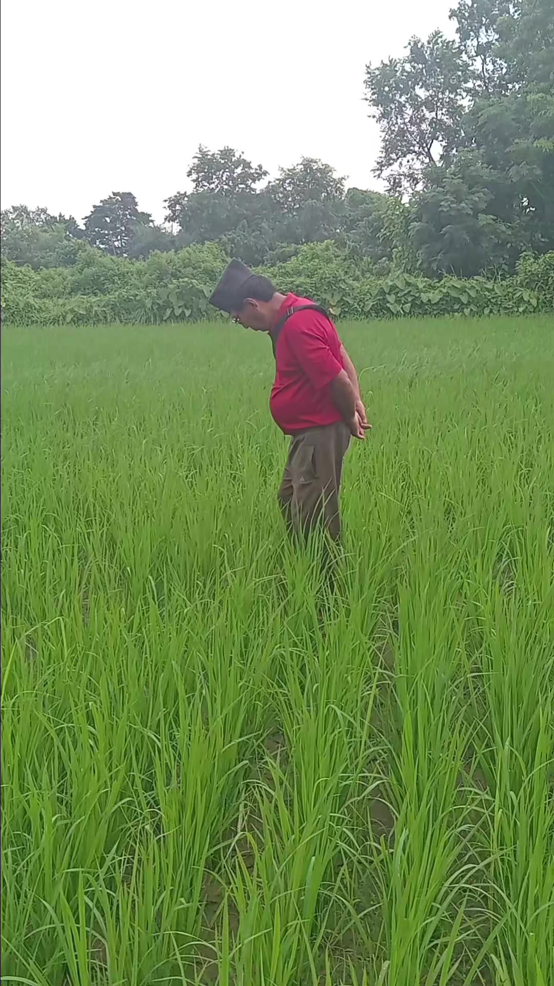@Kb Thapa