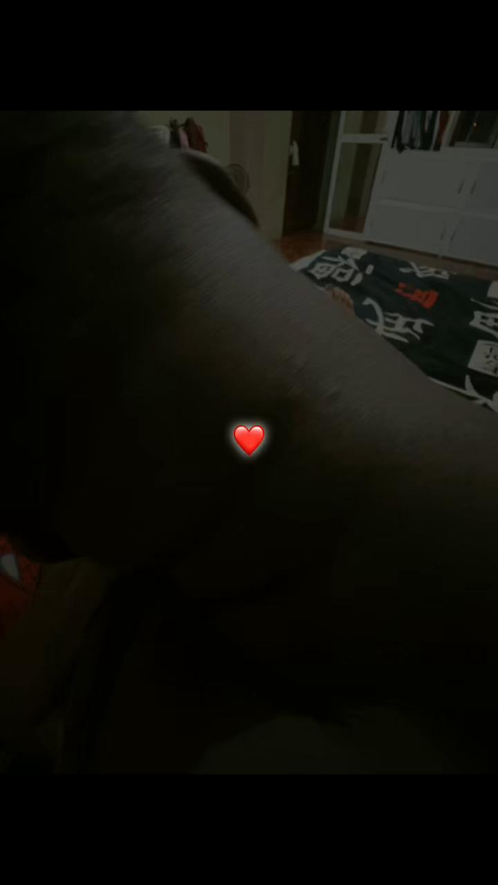 @𝓛𝓪 𝓒𝓱𝓲𝓲𝓷𝓪 🕷
