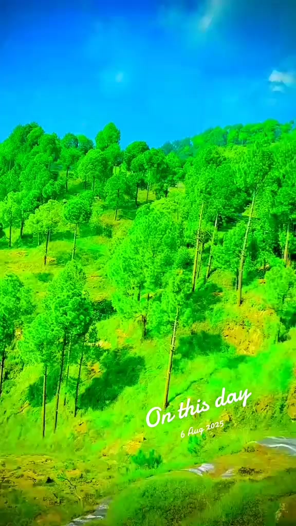 @Mia Ashfaq janji❤❤🌹🌹🌹👍👍