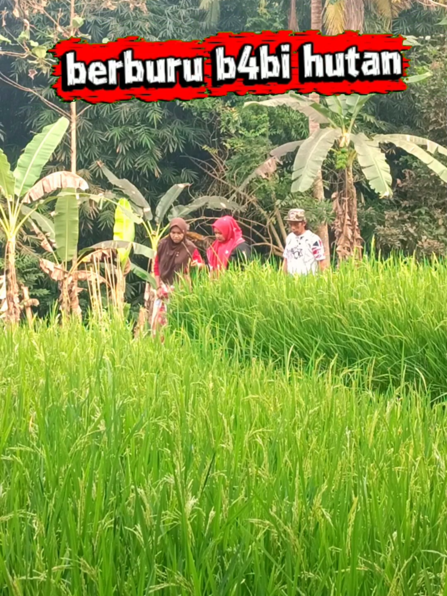 @Bubun Ganeas