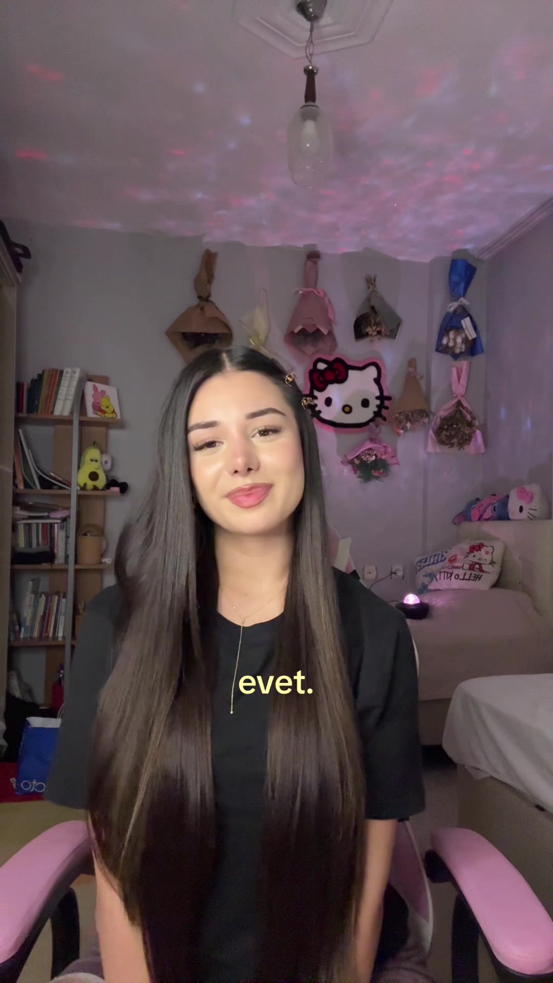 @ssudemguler