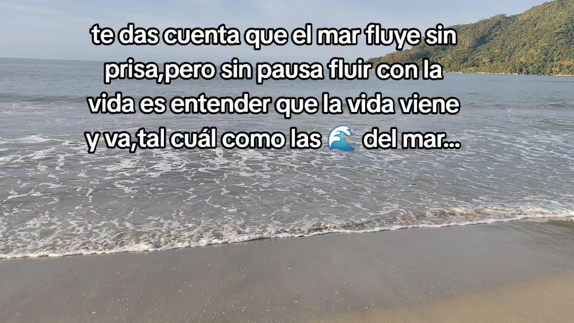 @🩶Andino🩶