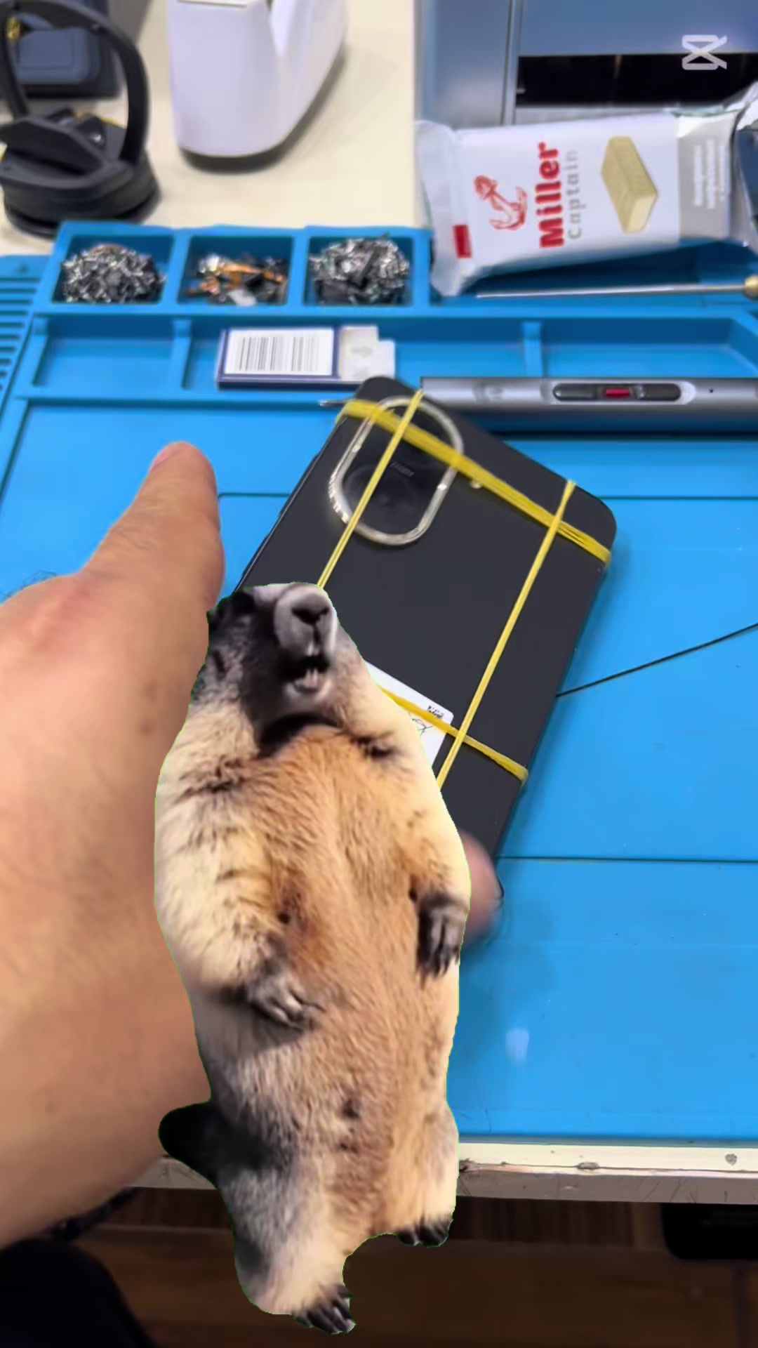 @Nicat.Telekom
