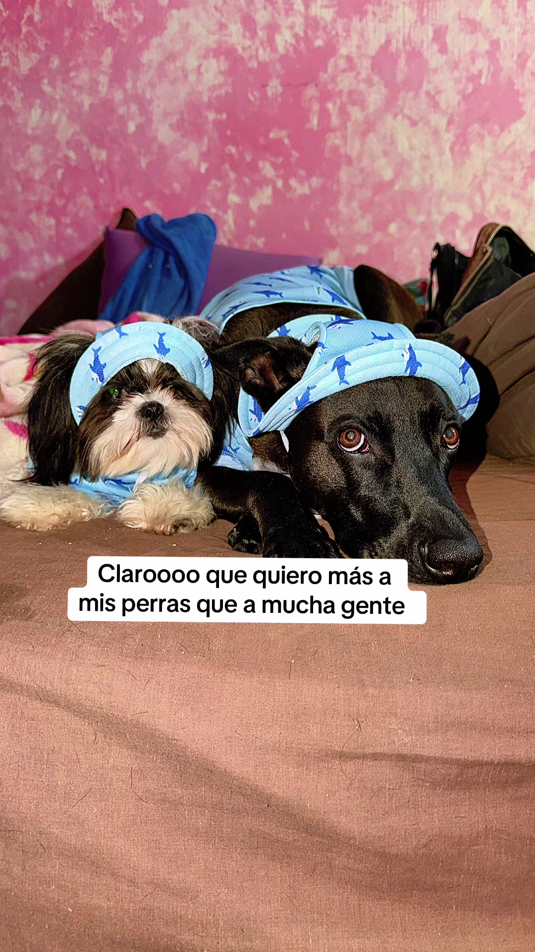 @Sahira plascencia