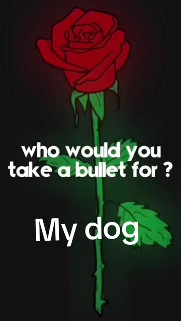 @Dimond Razer