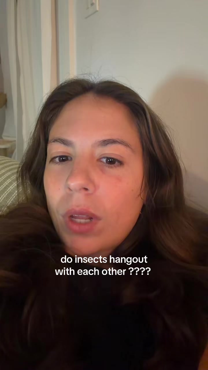 @amaris