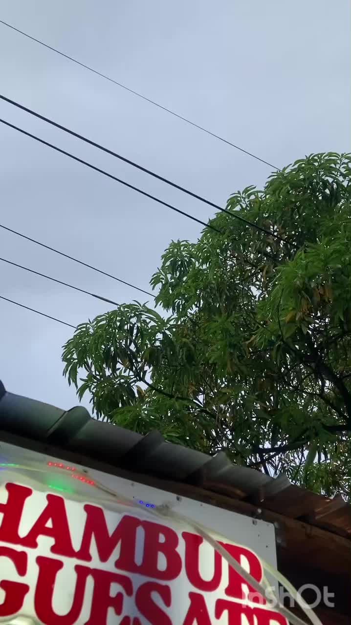 @Él torombolo oficial ✅