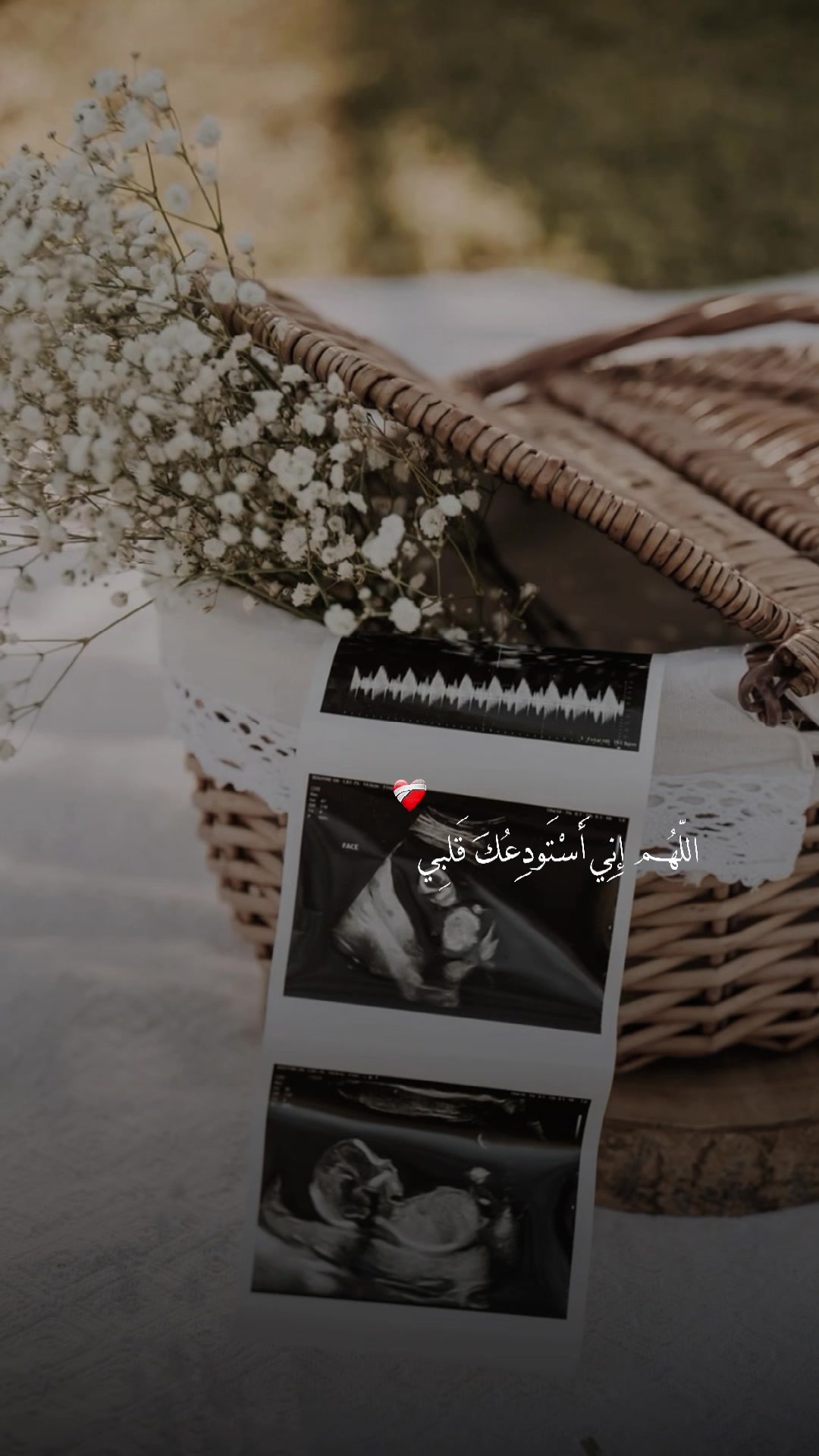 @لُجين ماهر