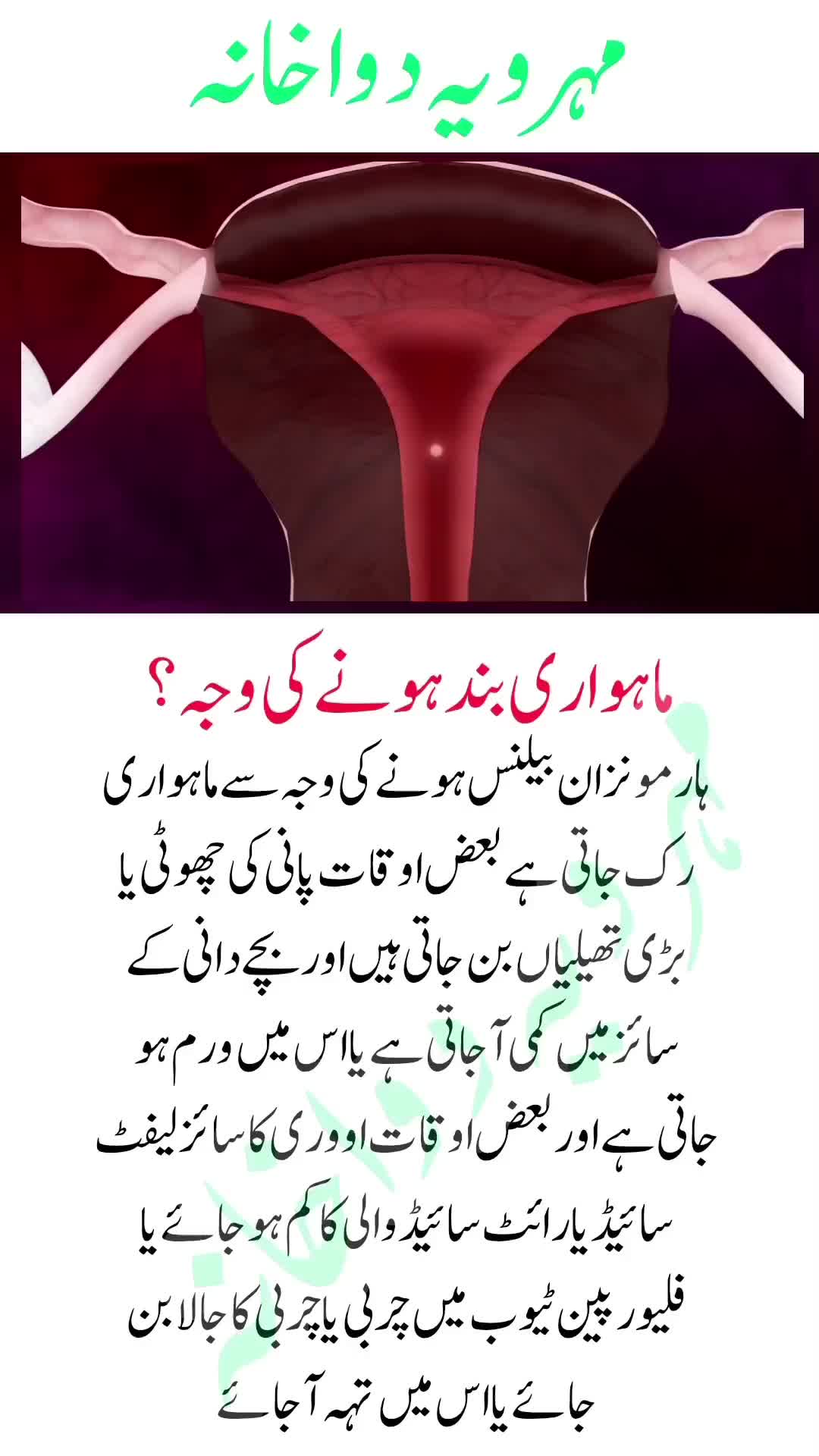 @Mehrviya Dawakhana Official