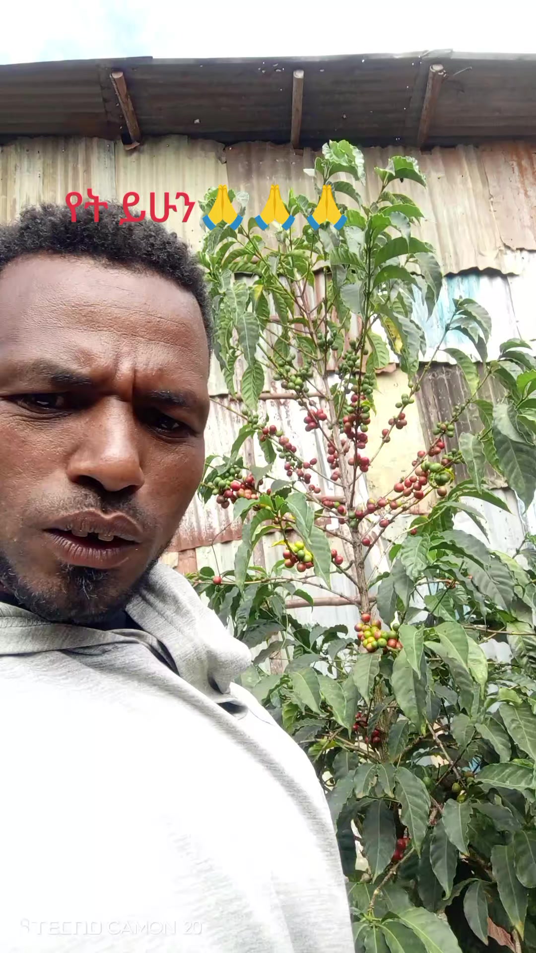 @Sabom Dawit አንጋፋው I,T,F w/sodo