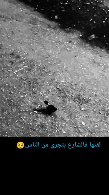 @ميمز .دوت كوم 😂😋