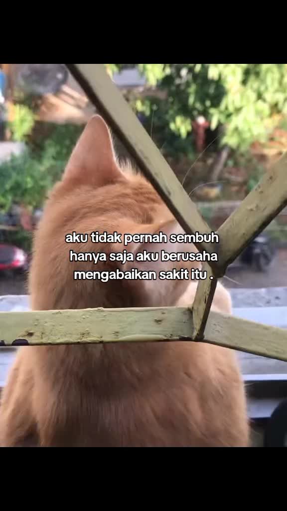 @kejuuuus1
