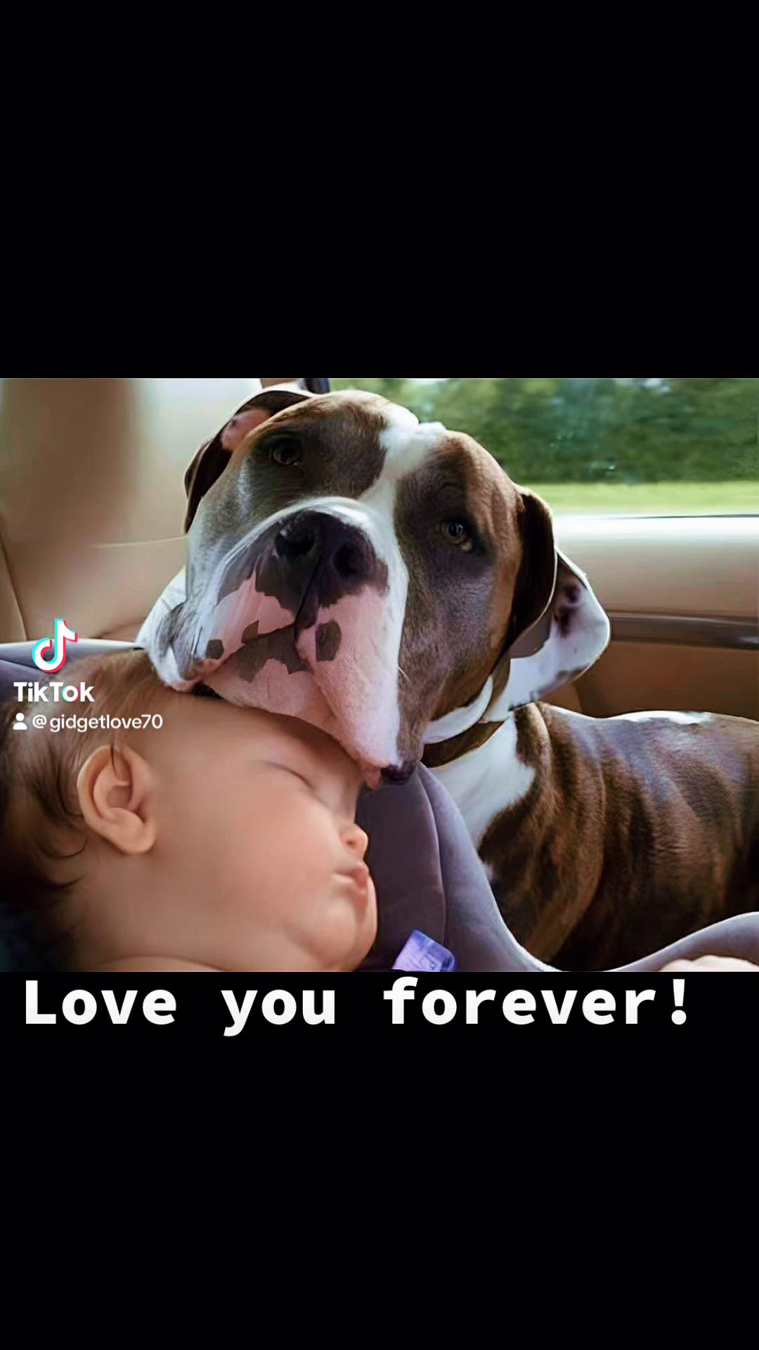 @Gidget Love