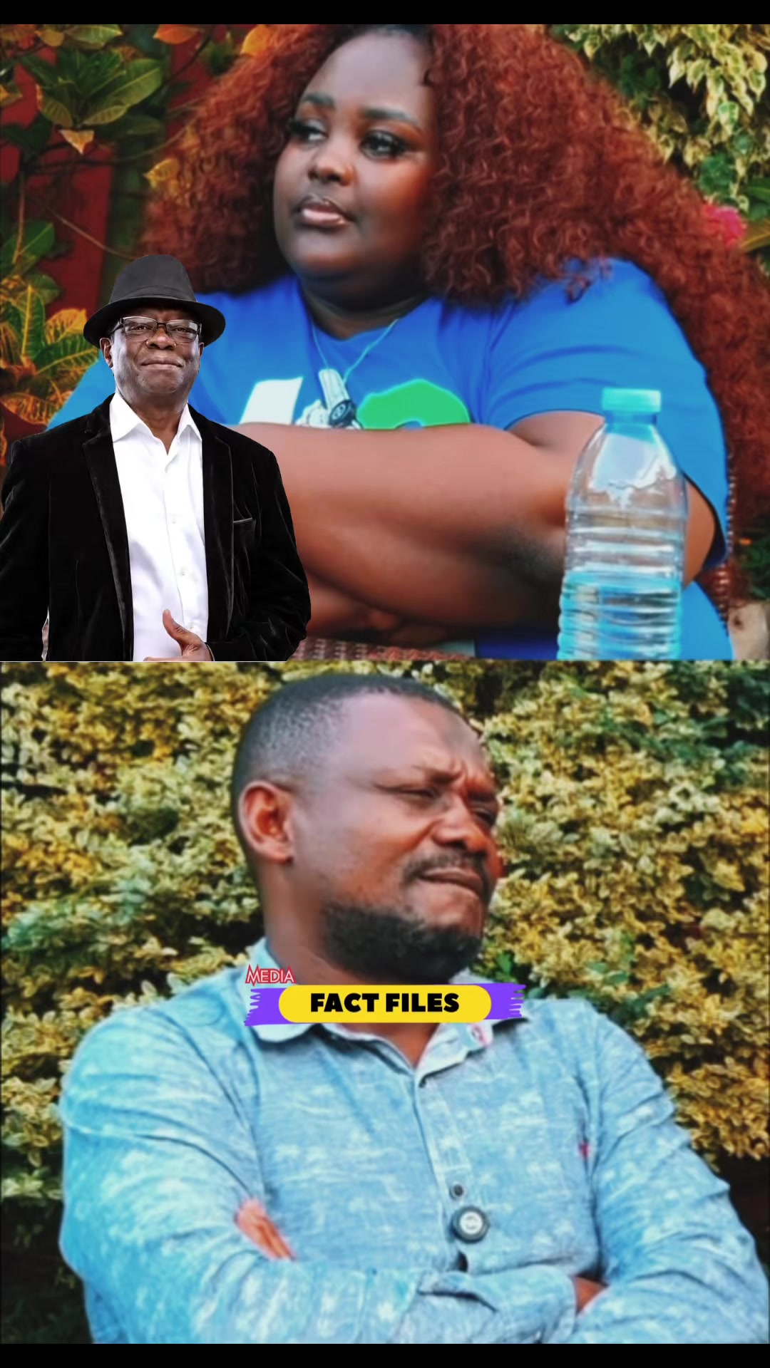 @FactFilesMedia