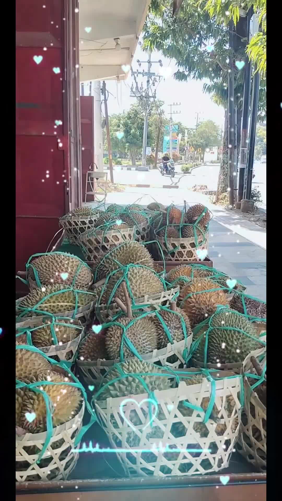 @Kenzhi Durian Tuban