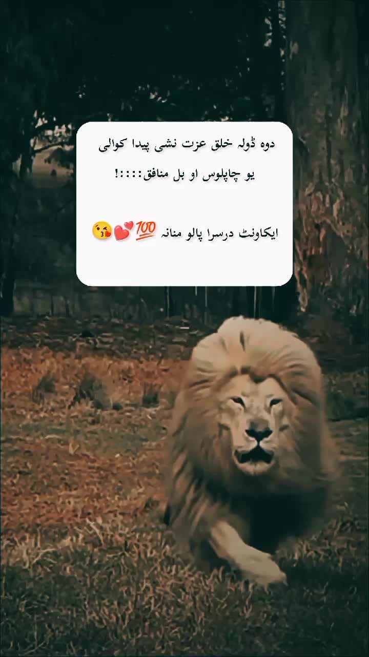 @♛𝐆𝐡𝐚𝑚𝑗𝐚𝑛😌𝐇𝐚𝐥𝐚𝐤♛