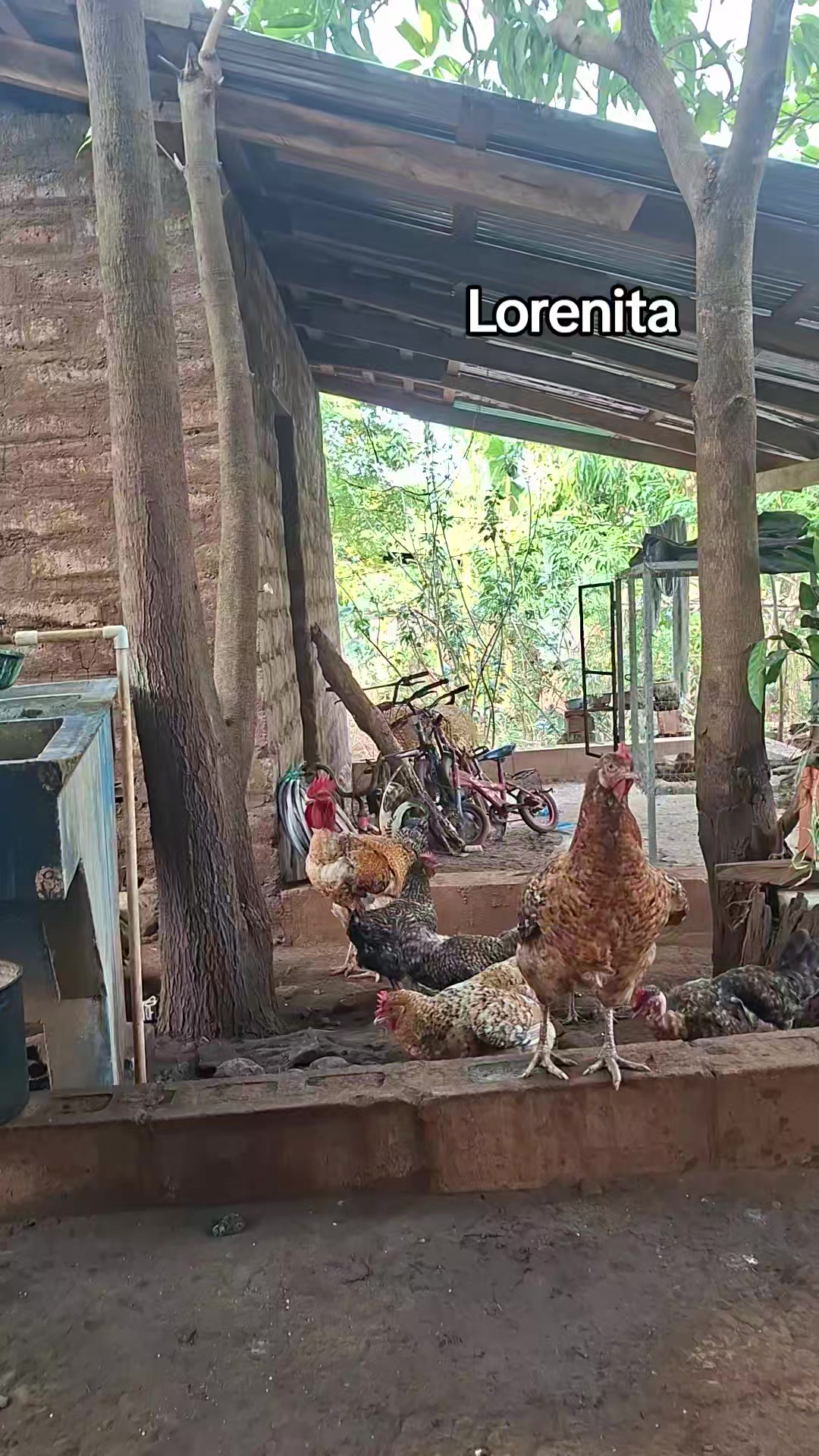 @Lorenitha santamaria⚘️