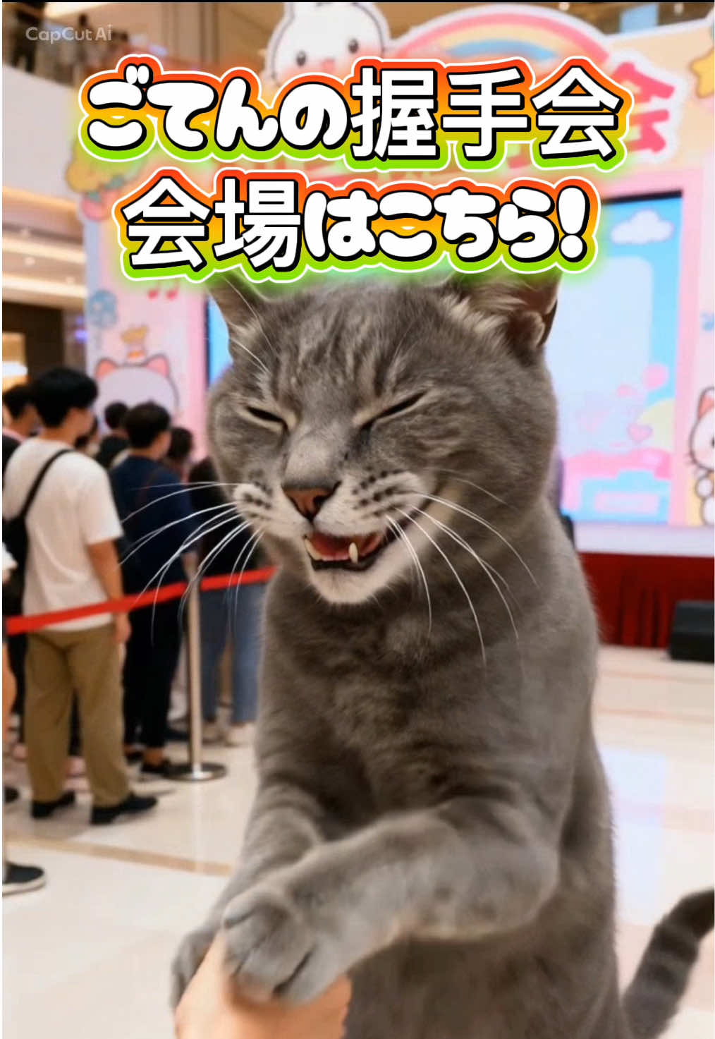 @くろねこ🐈⬛🩶🐈🤍