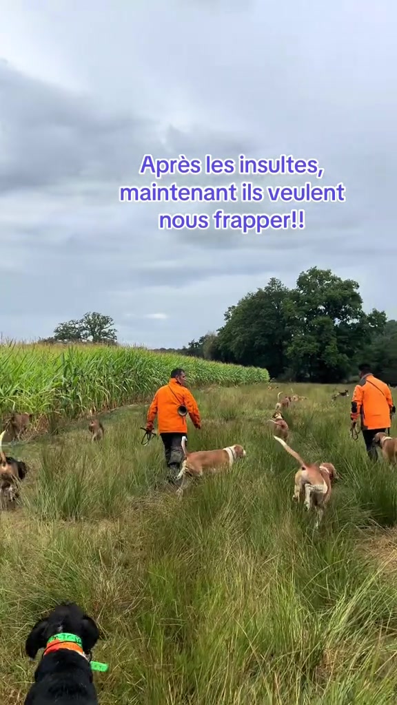 @CHASSEUR.COM