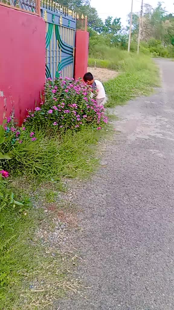 @Anjali Pandey