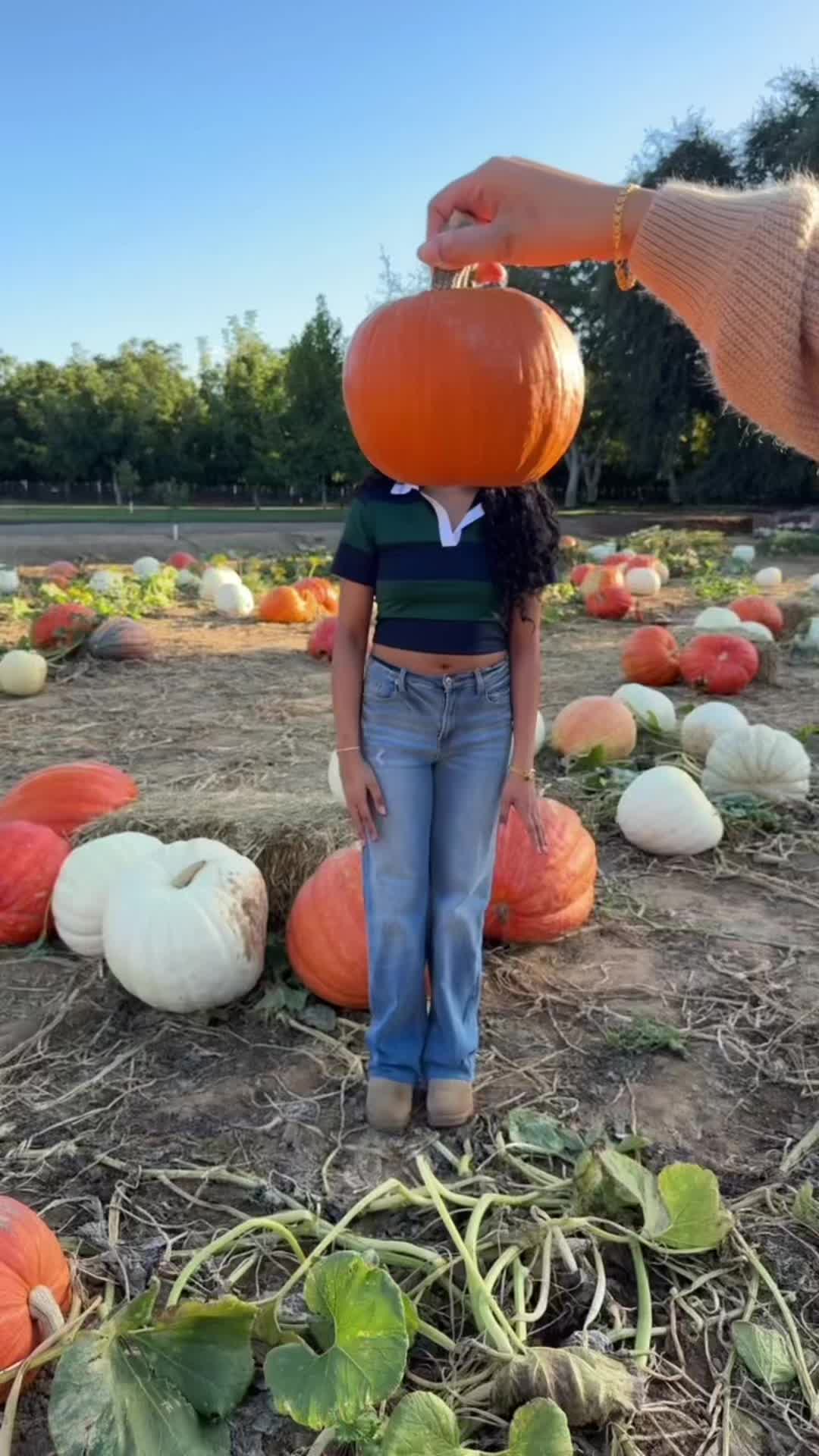 @𝒦