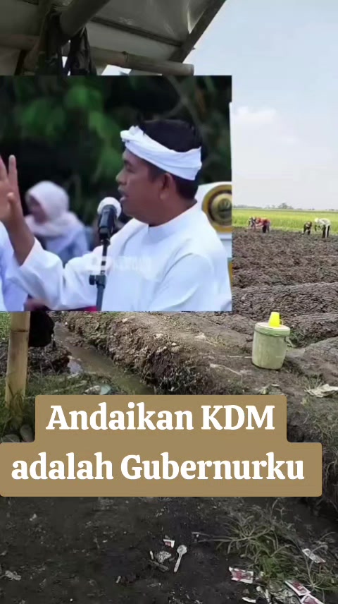 @Dolan