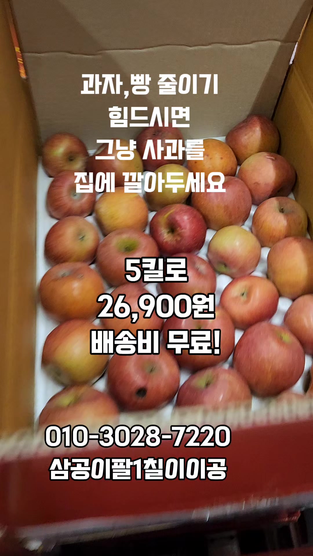 @새콤과일장터