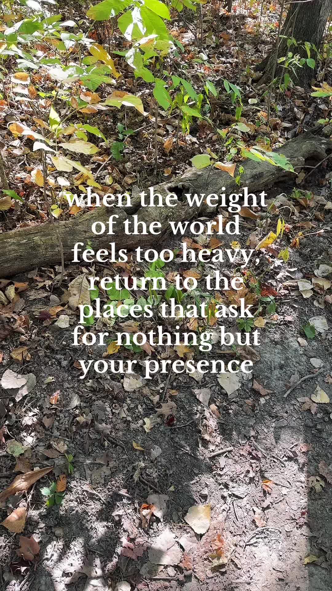 @brittany.inthewild