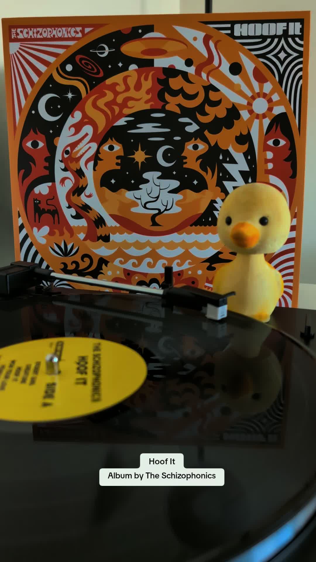 @Duck