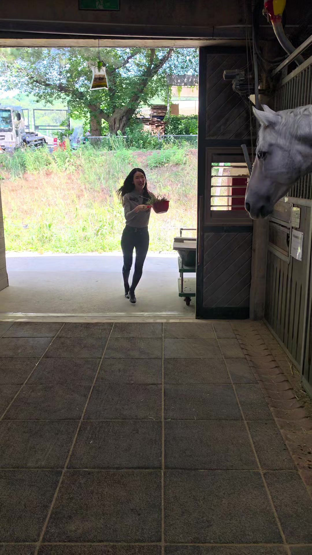 @작은말월리 | 월리플랍🦄
