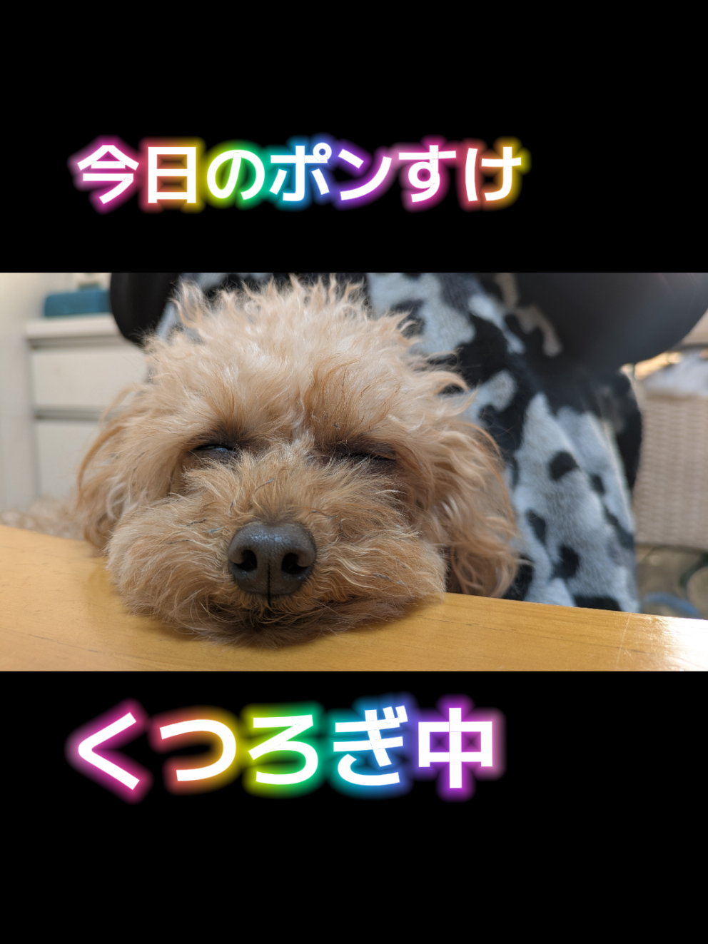 @よしポン弾丸ランナー
