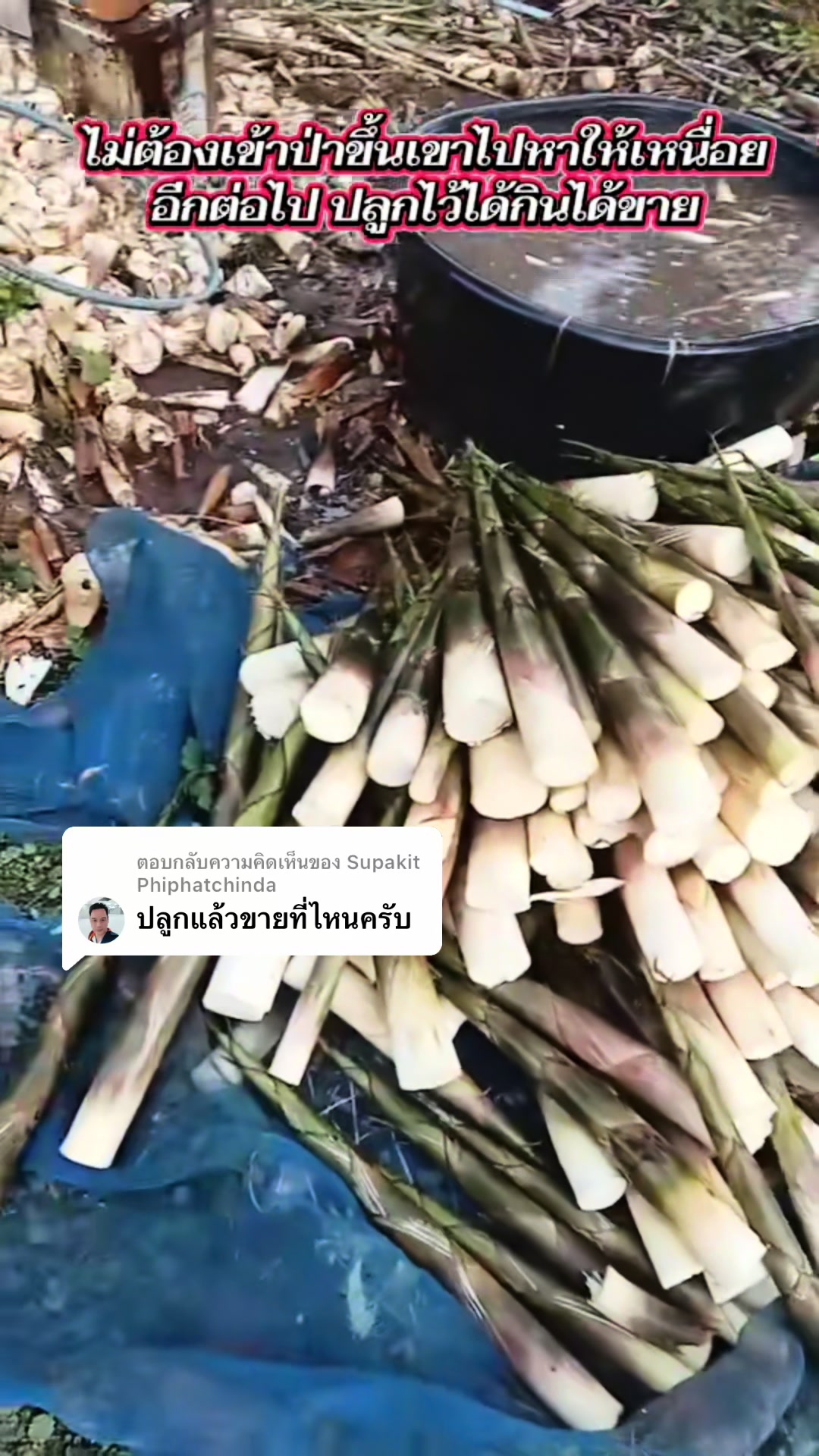 @นัดดาชอป