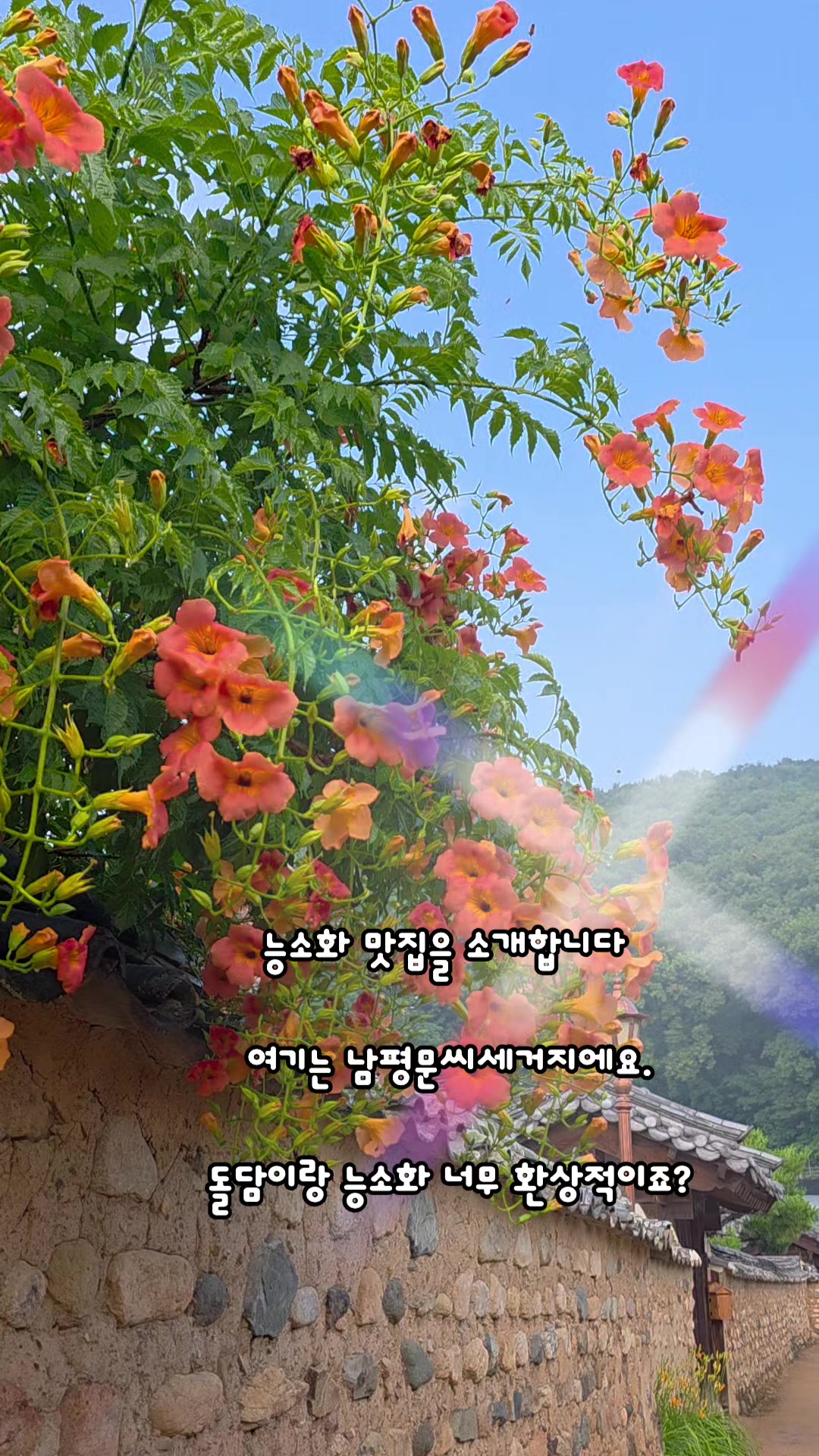 @๐ ๋ฐ๋ณด๋ฅผ์ฌ๋ํ์ธ๋ณด ๐