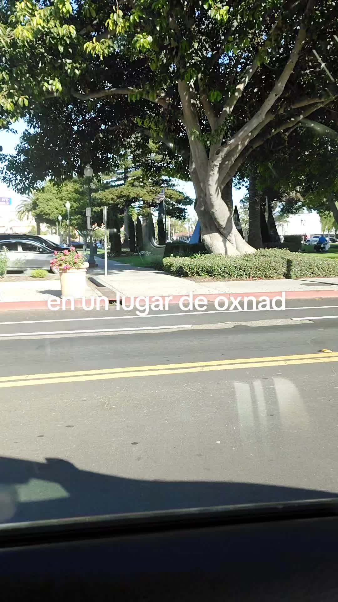@jramos988tijuana