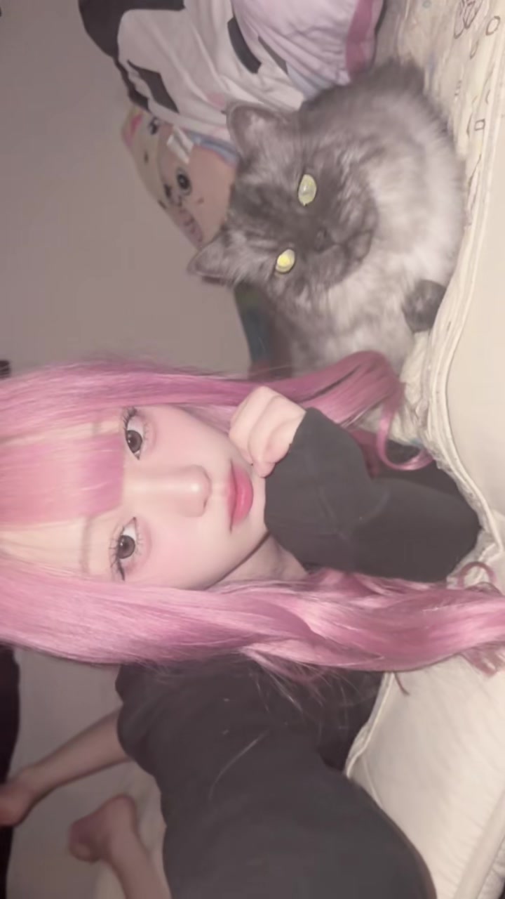 @ねこふぁいぶ