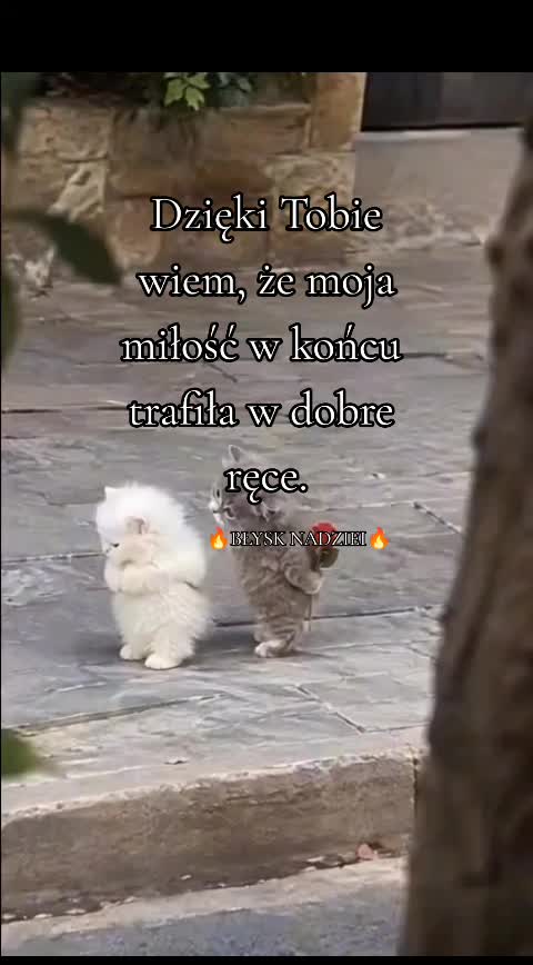 @🔥BŁYSK NADZIEI🔥