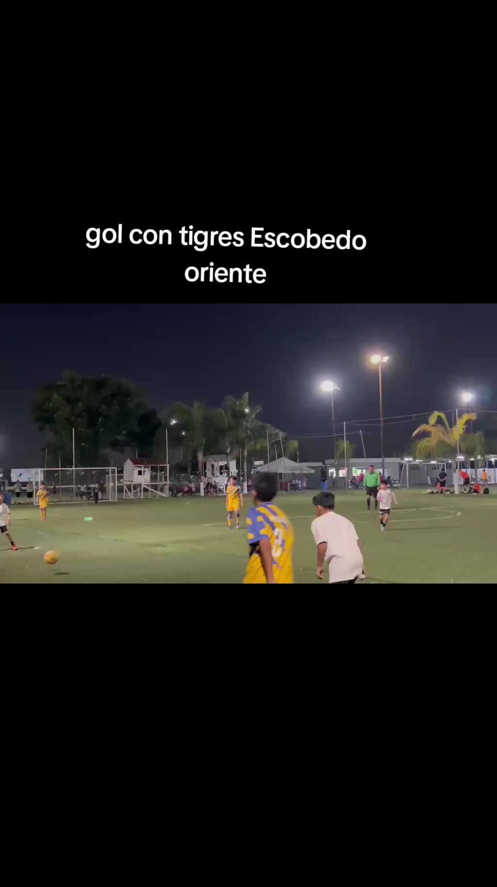@nico10112018