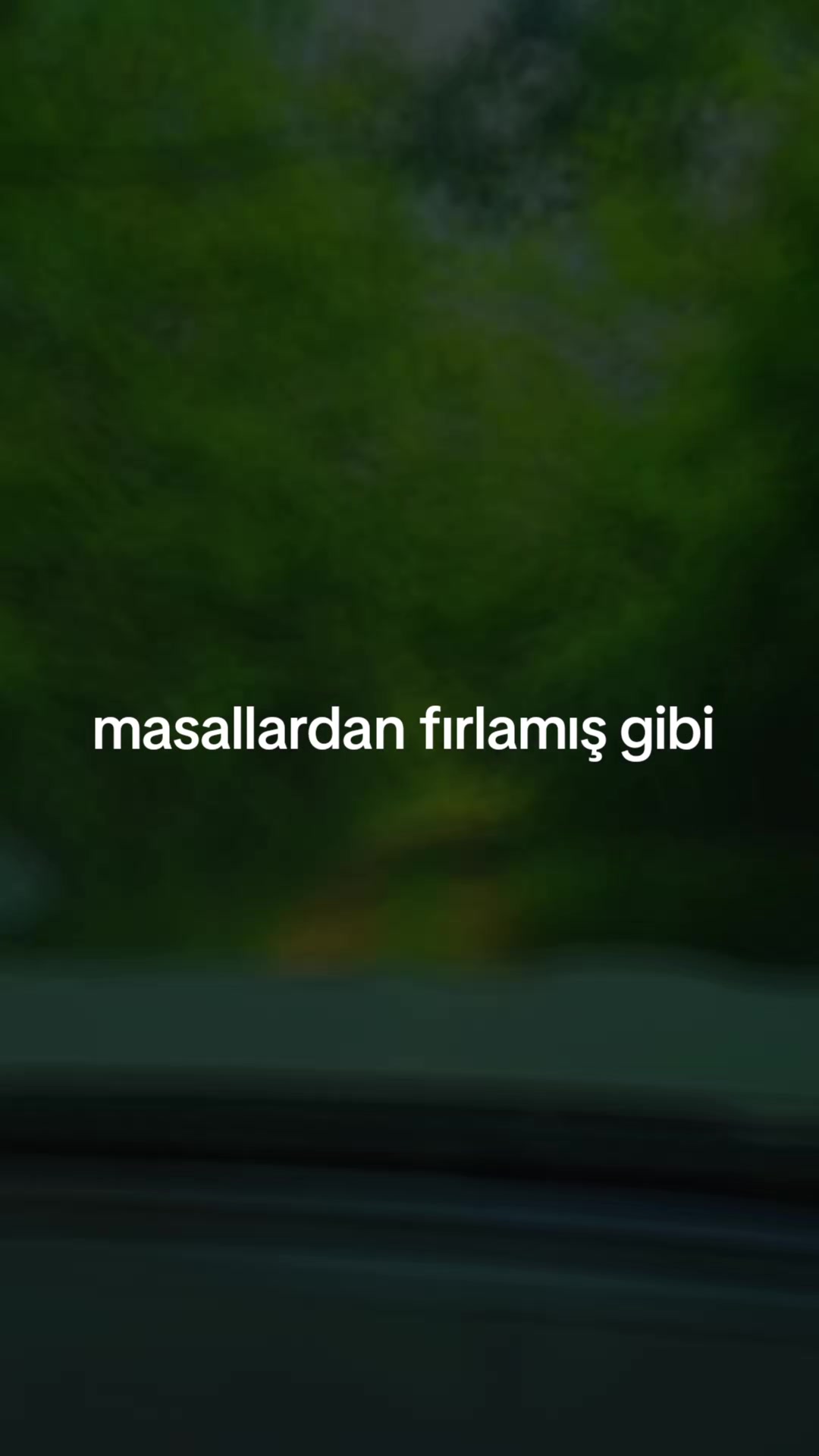@Sönmez