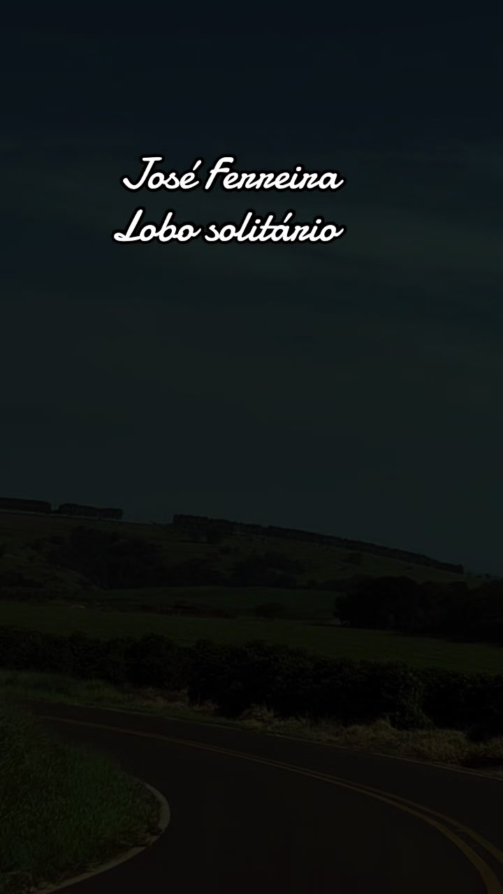 @joseferreiraferreira8