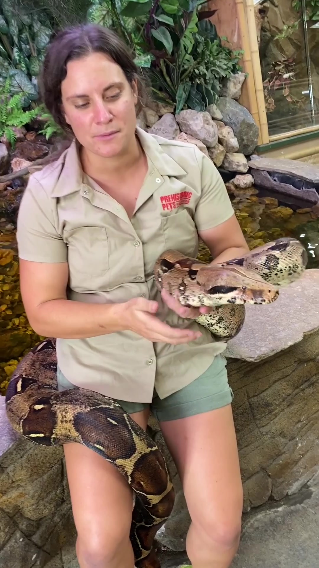 @The Reptile Zoo