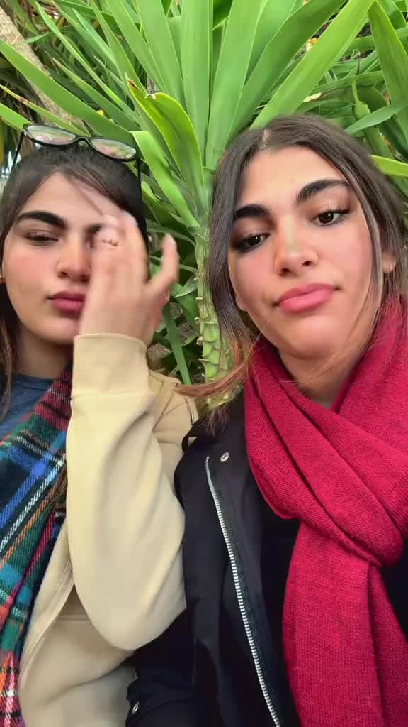 @Mehrsa