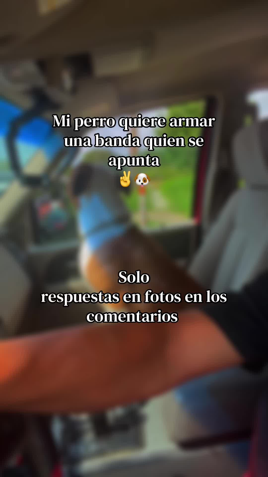 @🍕🐺JGMcatracho🇭🇳🐲