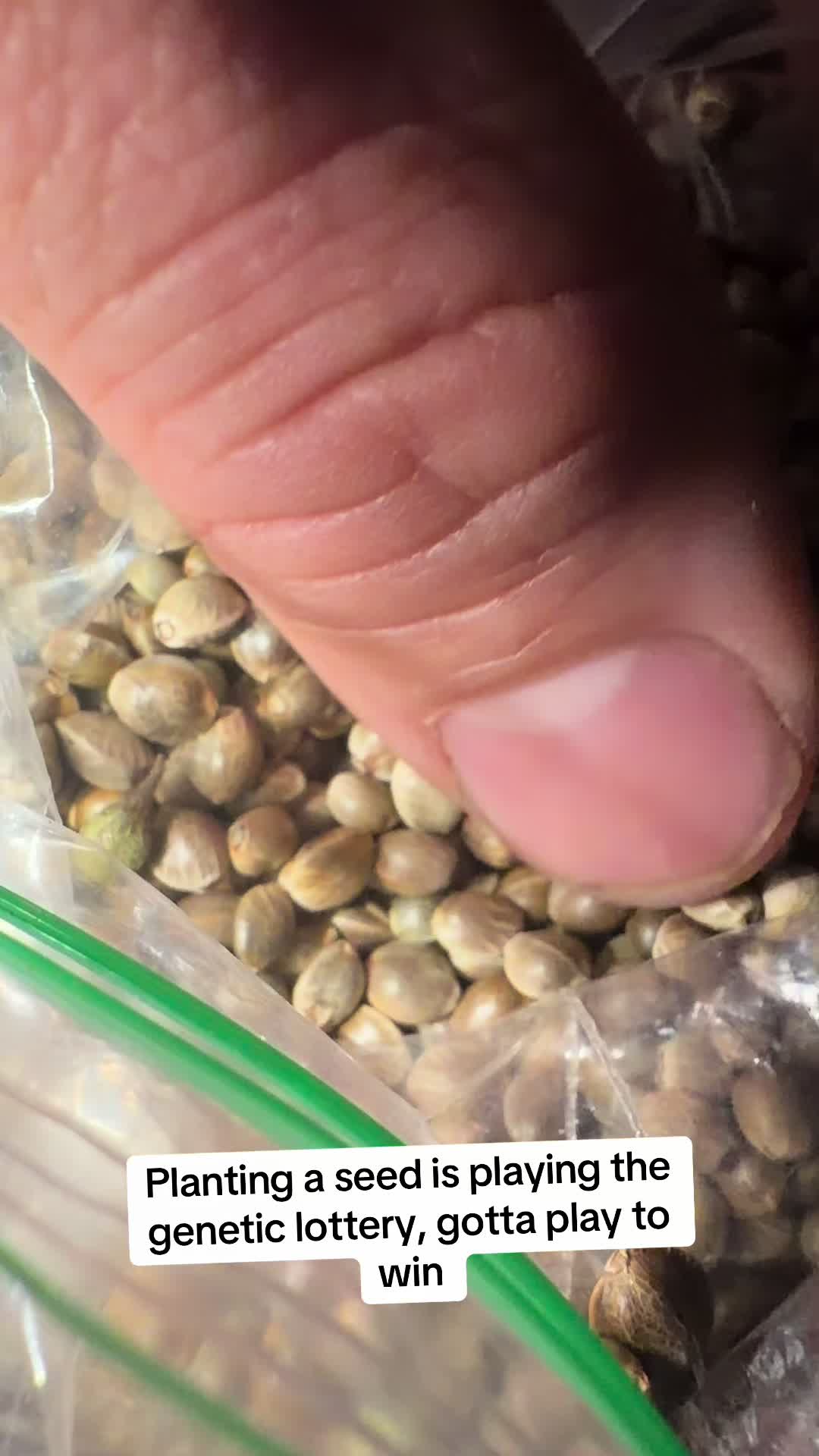 @SEEDTIVA