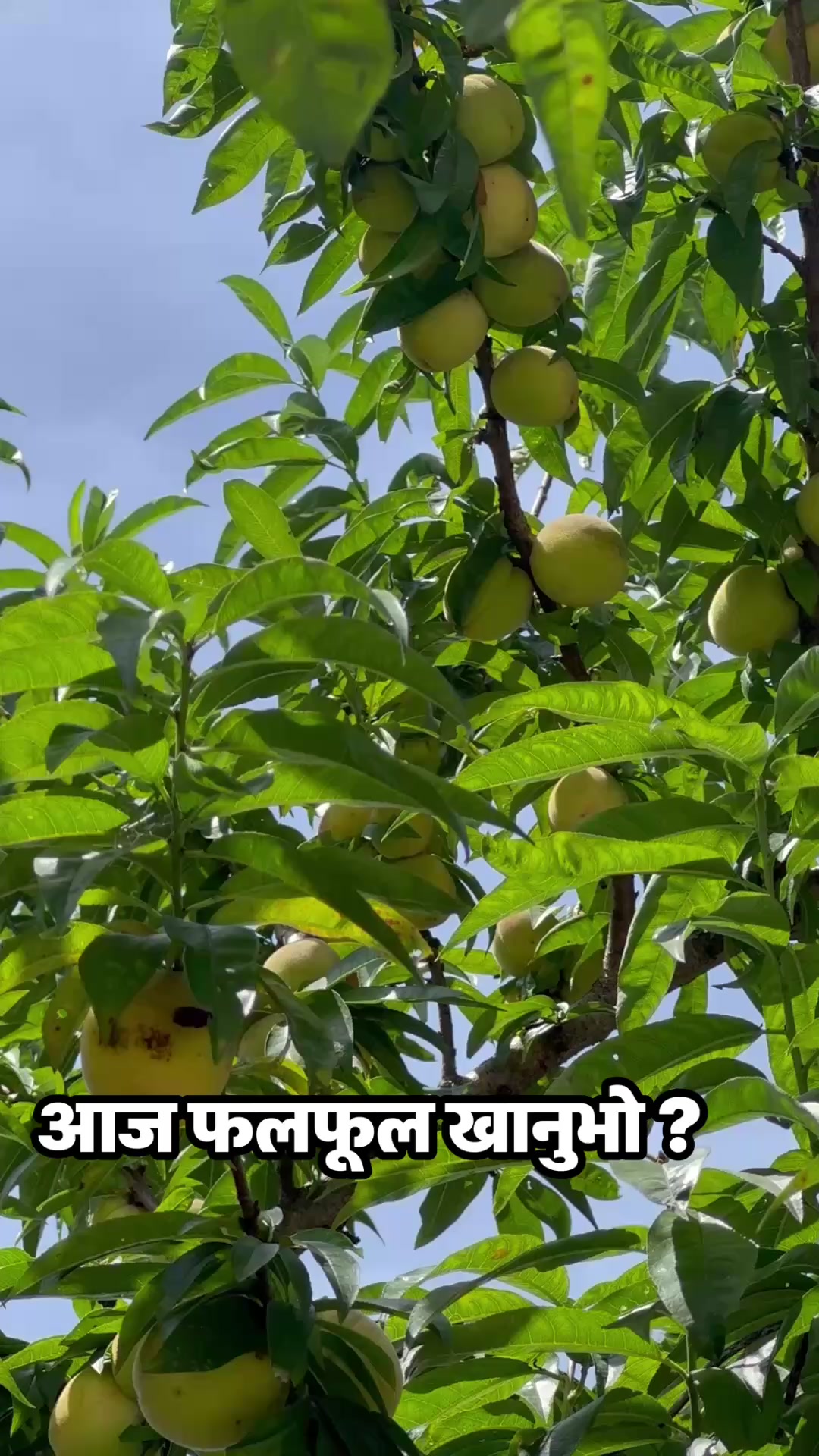 @DrSunil Paudel