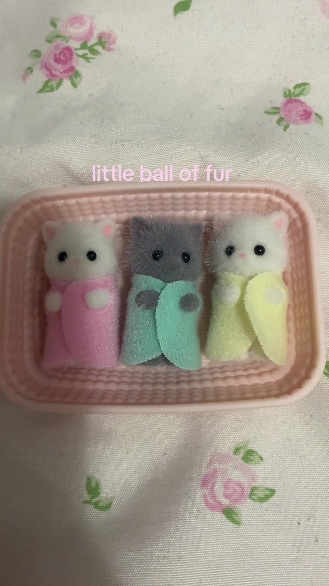 @elyssa🧁