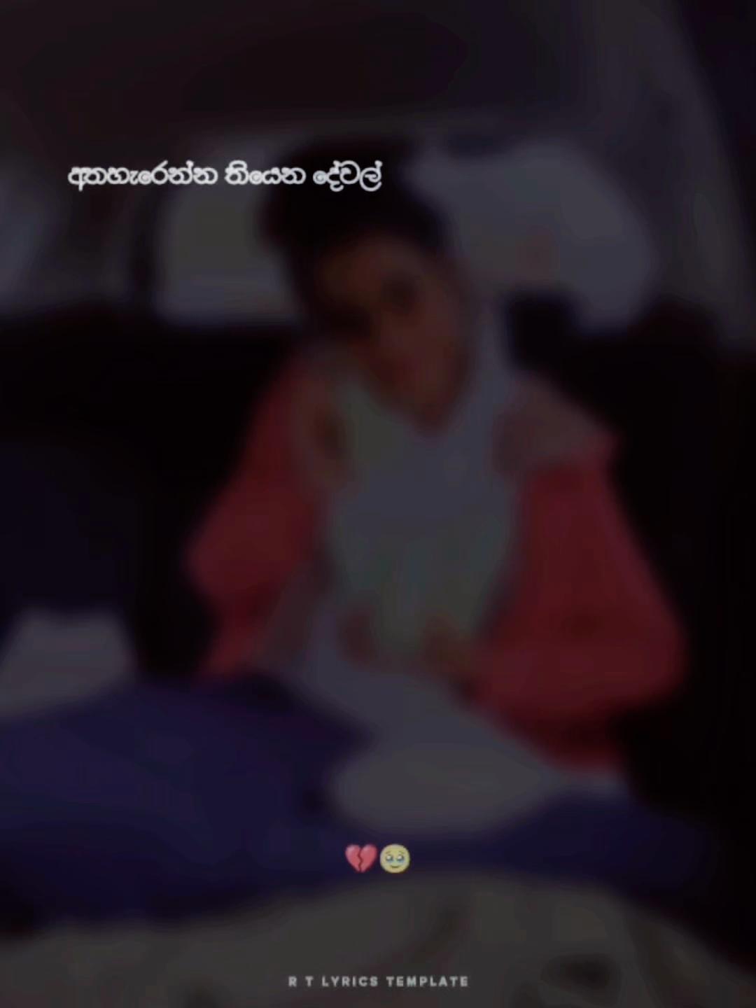 @NiShi SanDu 🇱🇰🇯🇵