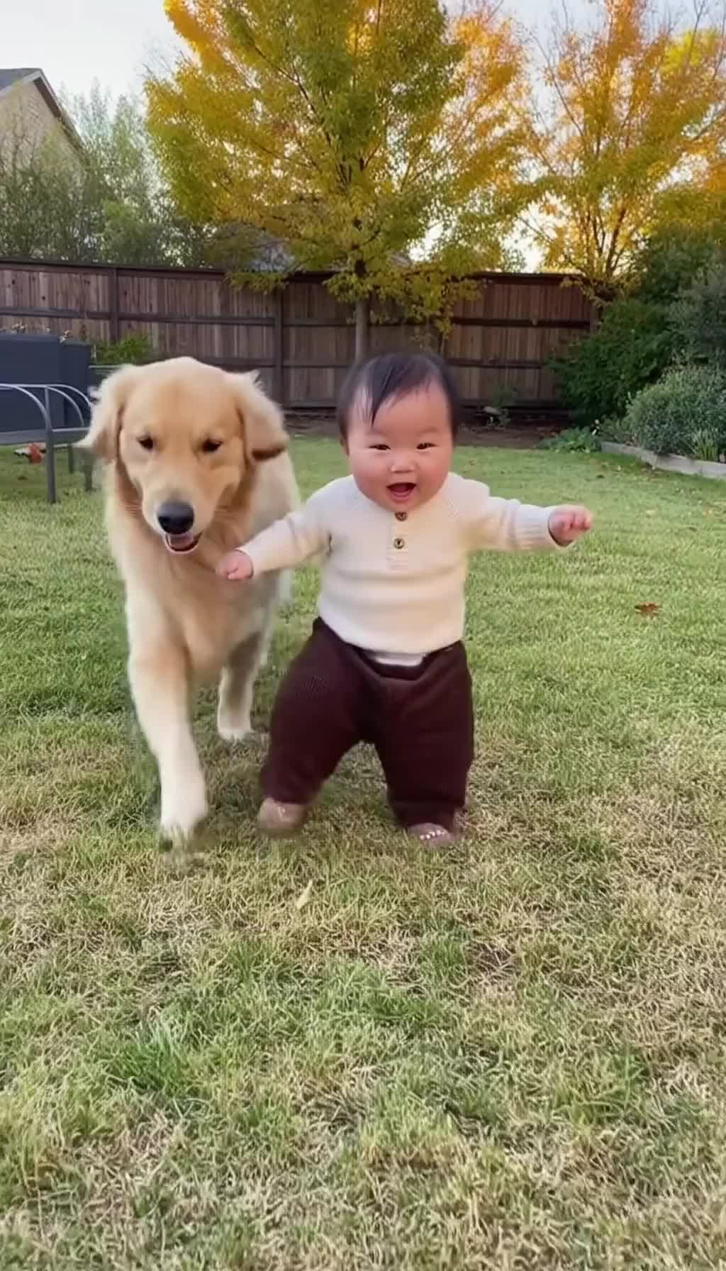 @金色ドリーマー💛犬愛好家