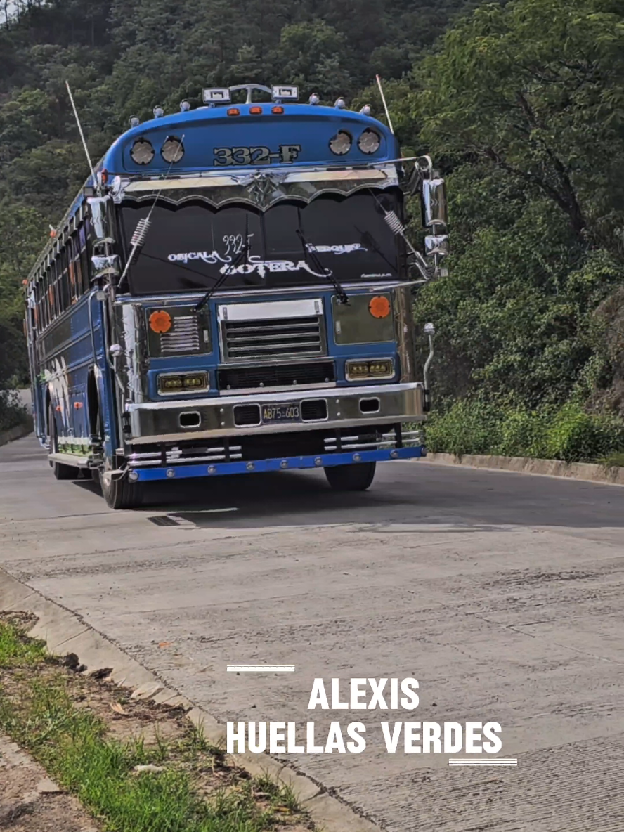 @Alexis Huellas Verdes